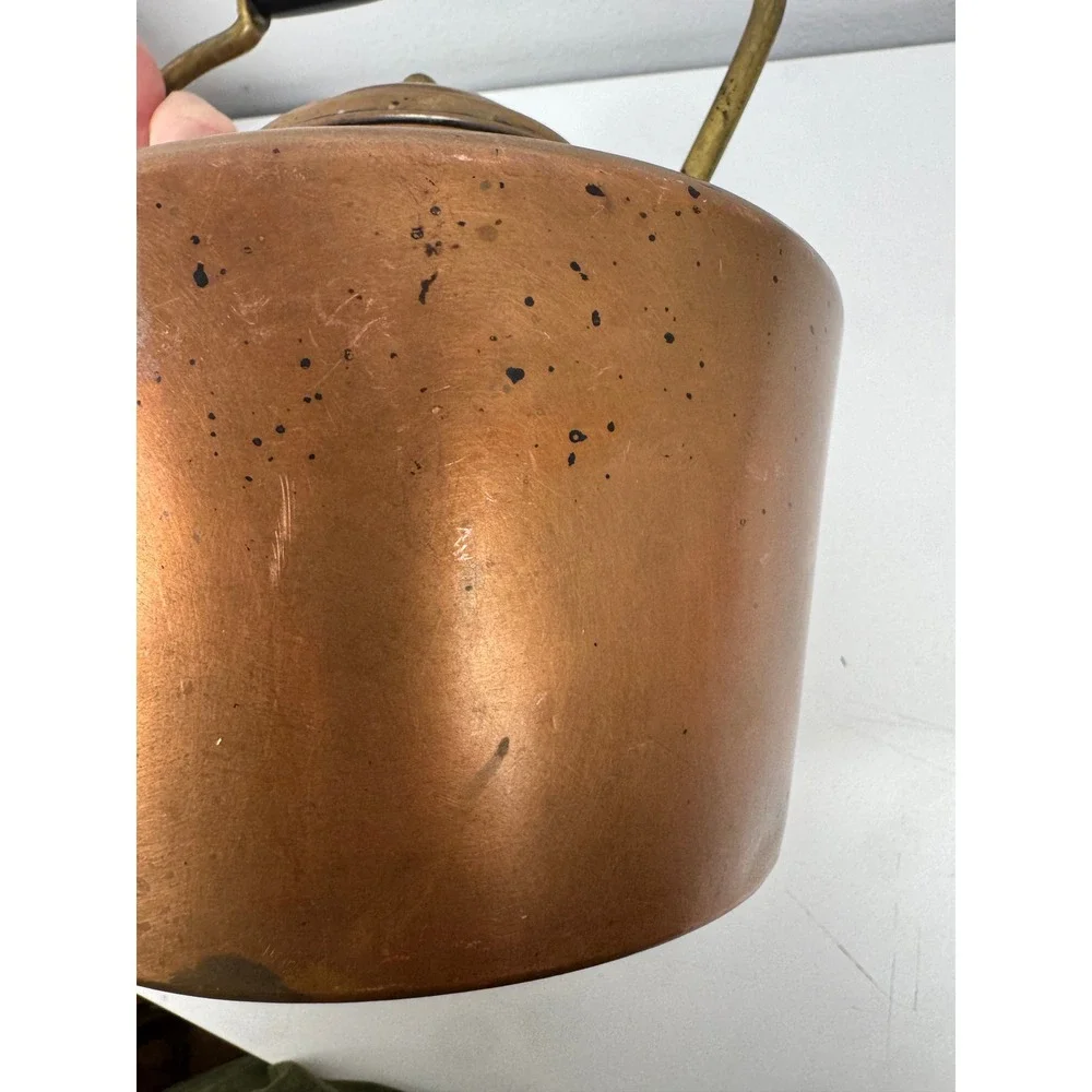 Vtg Taurus Portugal Copper Tea Kettle‎ Pot Rustic Farmhouse Cottagecore